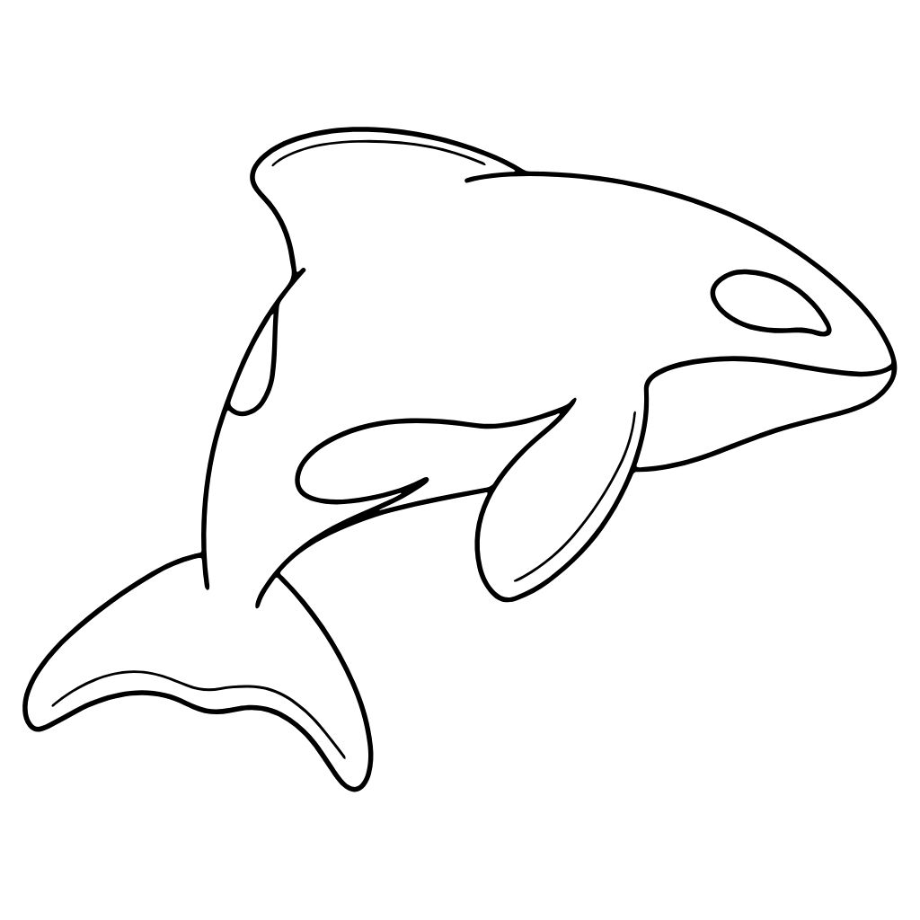 ausmalbilder meerjungfrau mit delfin