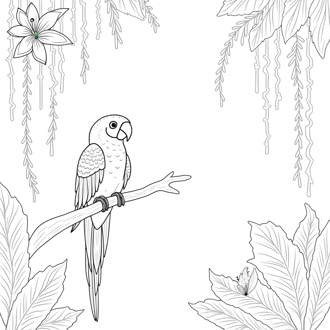Ausmalbilder Papagei im Regenwald kostenlos downloaden