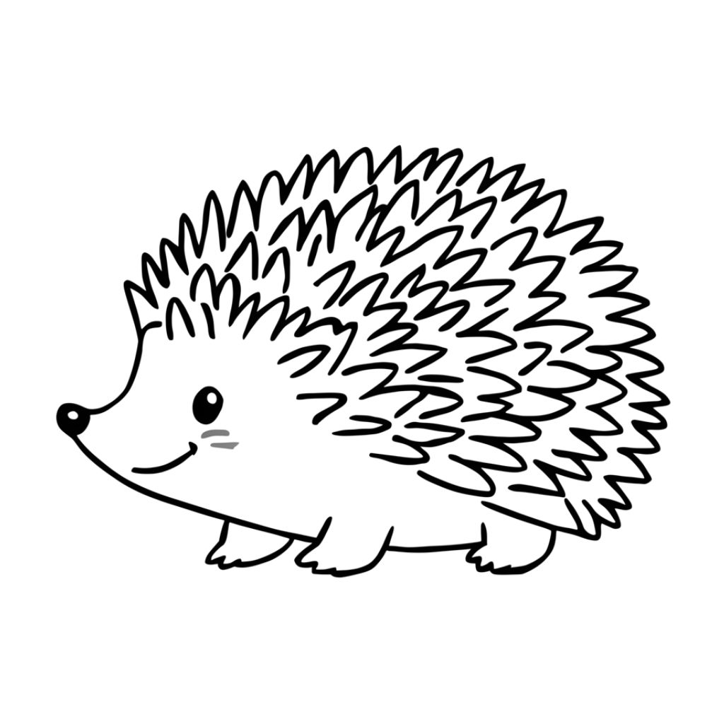 igel ausmalbilder