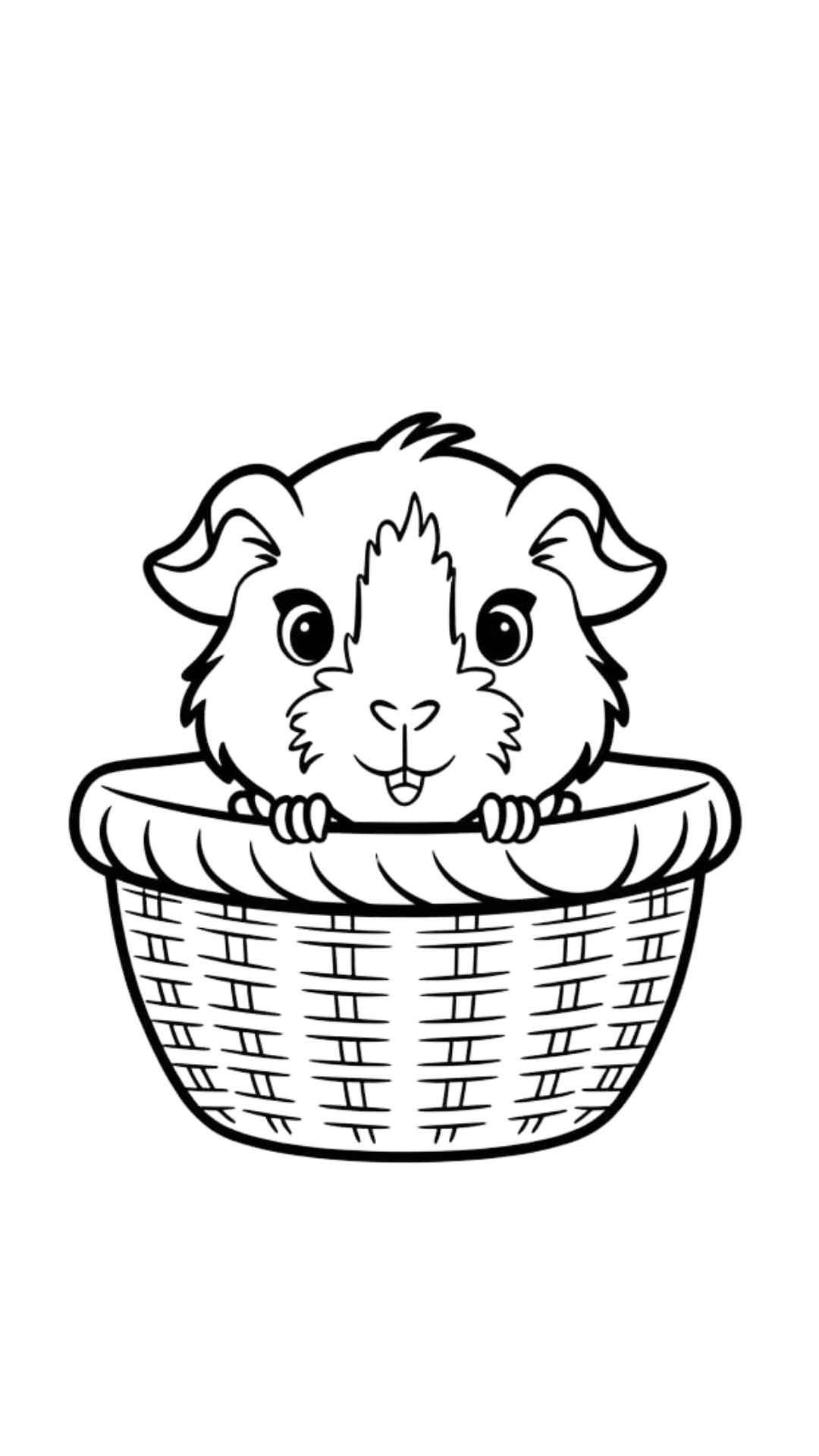 meerschweinchen ausmalbild einfach