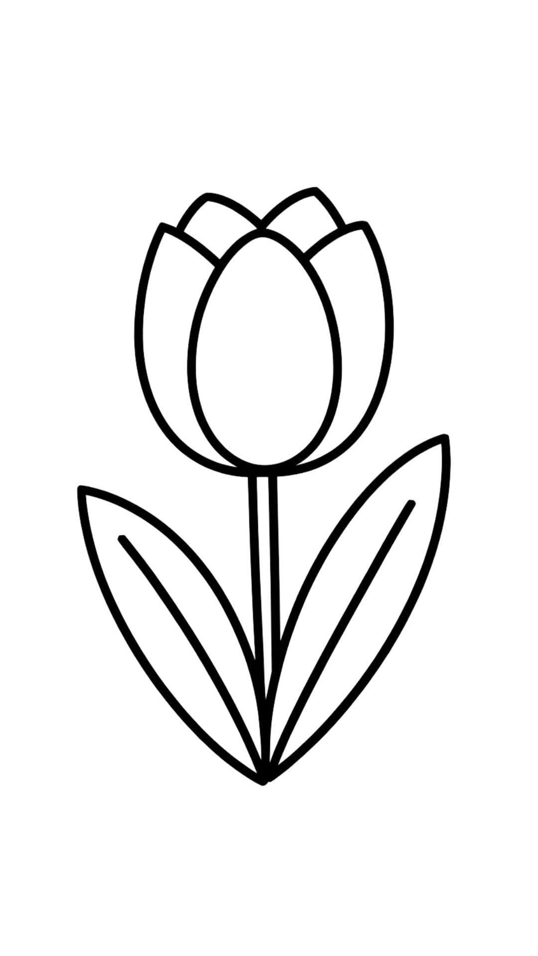 ausmalbilder tulpen ausdrucken