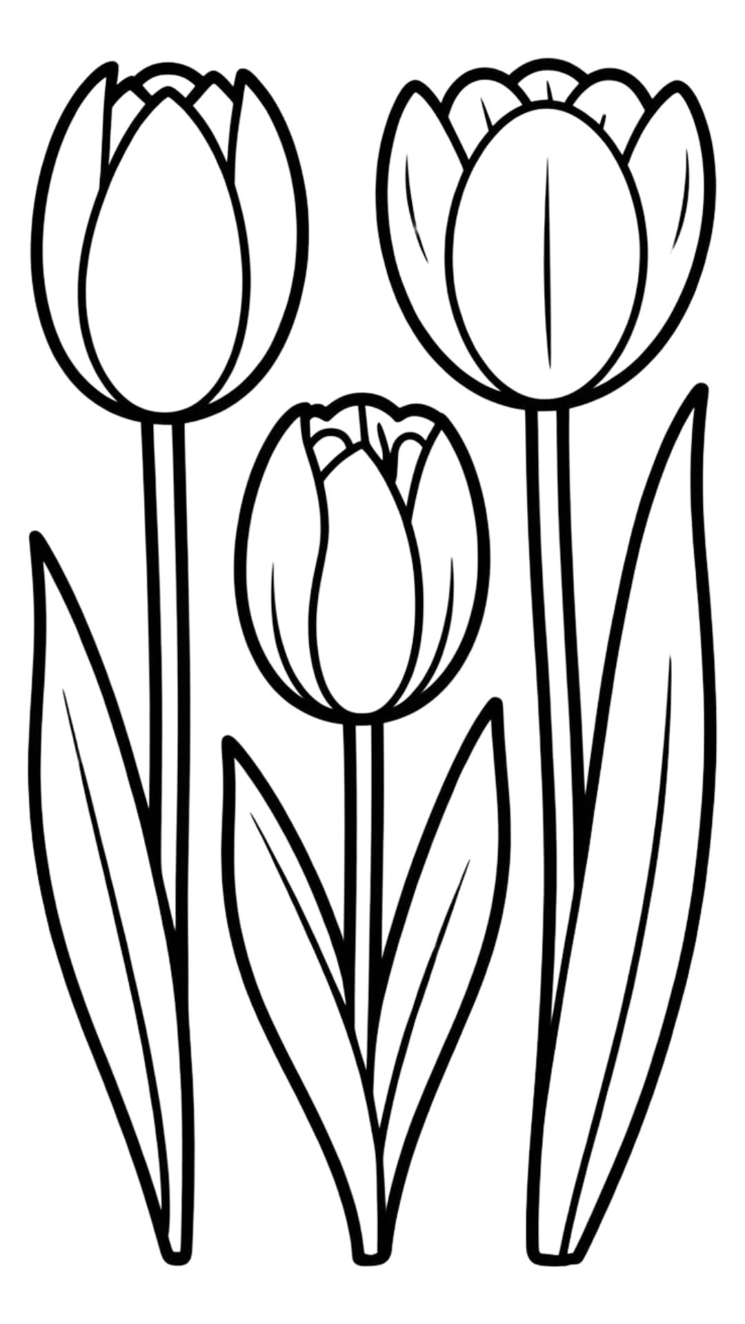 malvorlagen tulpen