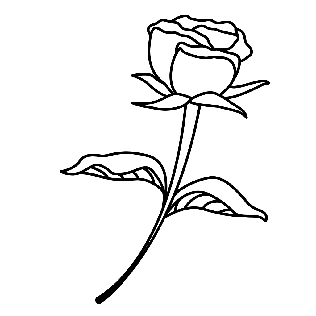 Rosen zum Ausmalen Ausmalbilder