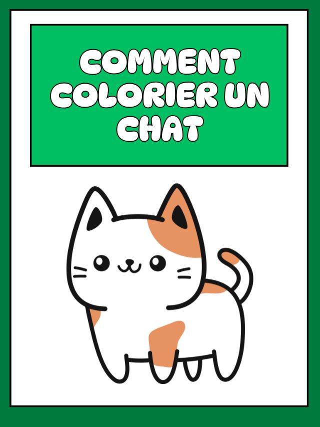 Comment colorier un chat